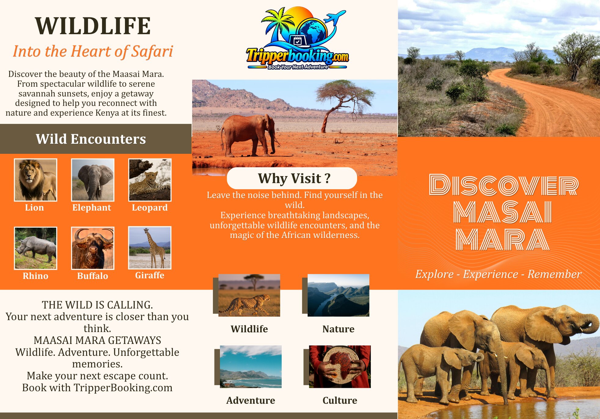 maasai mara
