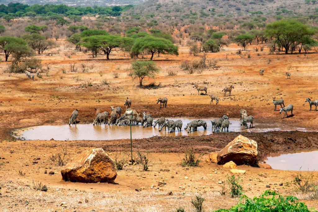 KILAGUNI SERENA SAFARI LODGE