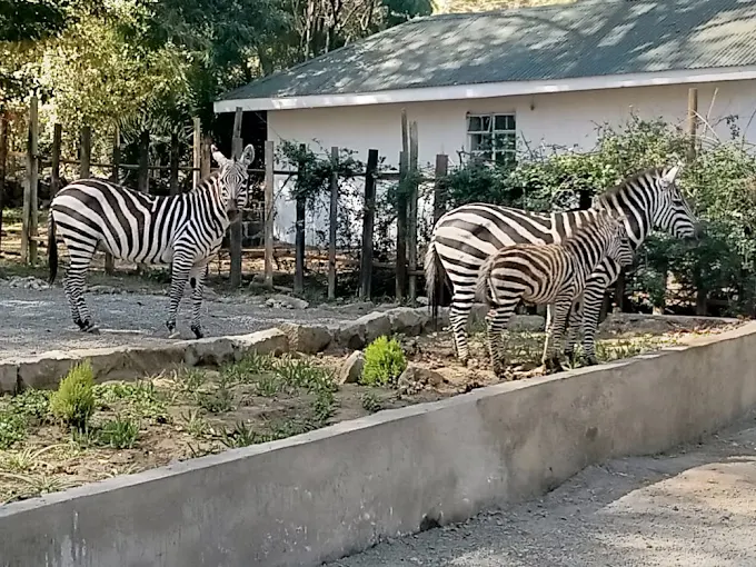 ELSAMERE LODGE