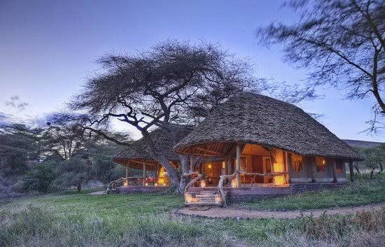 ELEWANA TORTILIS CAMP AMBOSELI