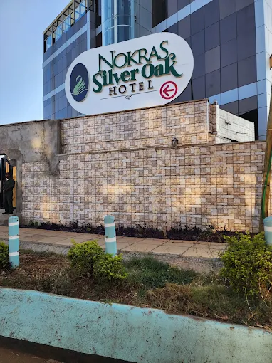 NOKRAS SILVER OAK EMBU