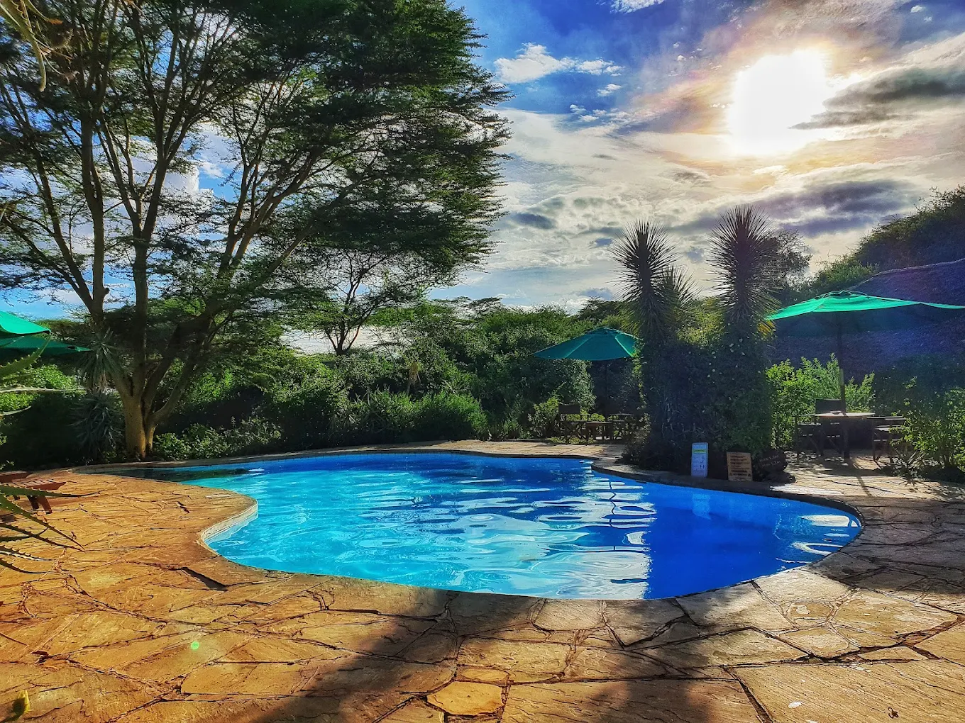 ELEWANA TORTILIS CAMP AMBOSELI