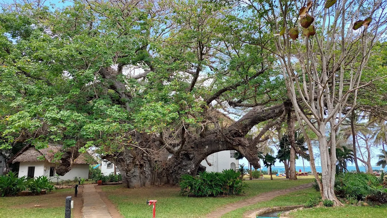 PAPILLON LAGOON REEF HOTEL