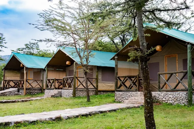 KIPEKEE ZURI CAMP
