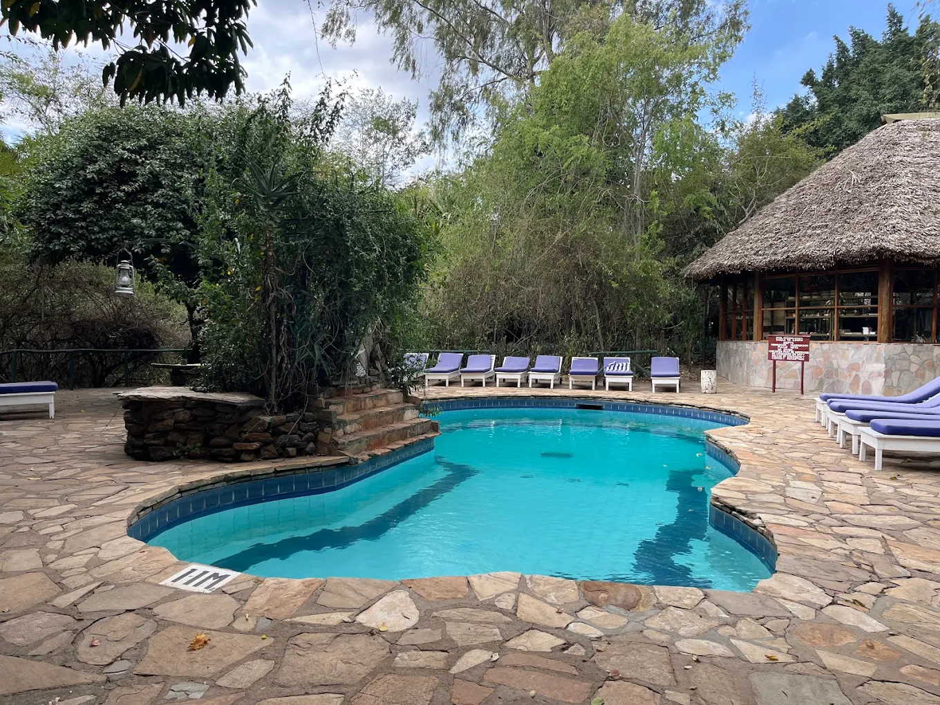 FIG TREE CAMP