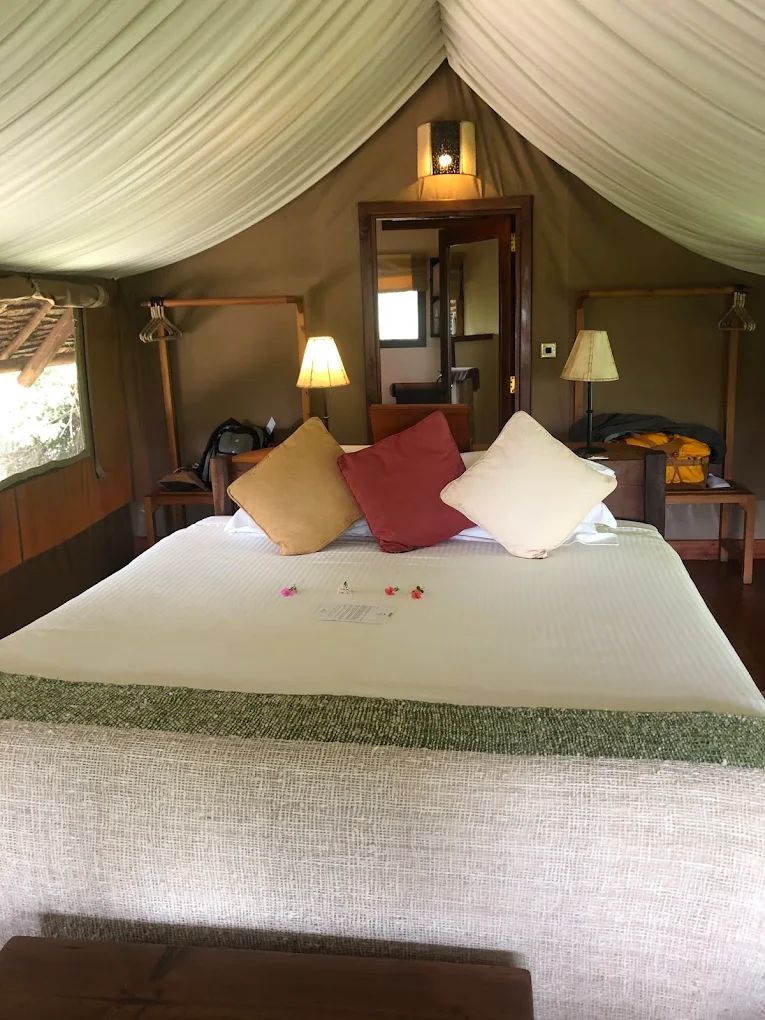 ELEWANA TORTILIS CAMP AMBOSELI