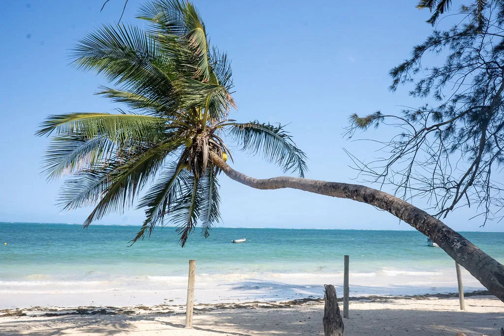 NEPTUNE BEACH RESORT