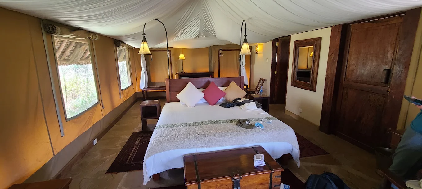 ELEWANA TORTILIS CAMP AMBOSELI